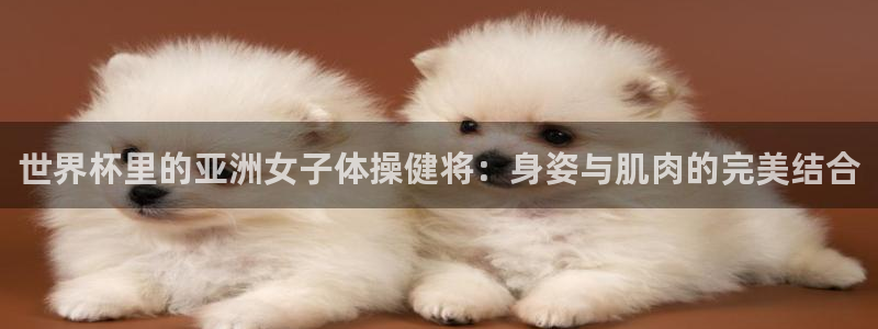 2026世界杯对阵图:世界杯里的亚洲女子体操健将:身姿与肌肉的完美结合