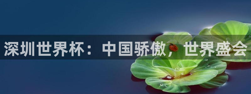 世界杯对阵图2026:深圳世界杯:中国骄傲,世界盛会