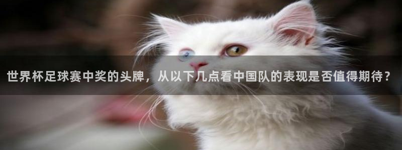 世界杯亚洲区预选赛积分榜:世界杯足球赛中奖的头牌,从以下几点看中国队的表现是否值得期待?