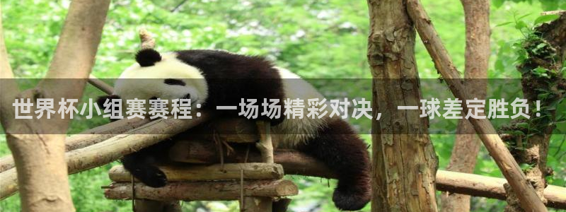 世界杯欧洲预选赛:世界杯小组赛赛程:一场场精彩对决,一球差定胜负!