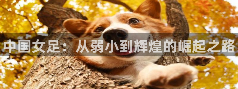 世界杯亚洲区预选赛赛程:中国女足:从弱小到辉煌的崛起之路